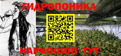 крисы Новокубанск
