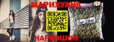 крисы Новокубанск
