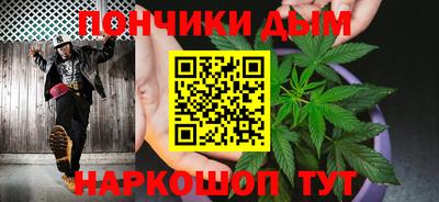 шишки Новозыбков
